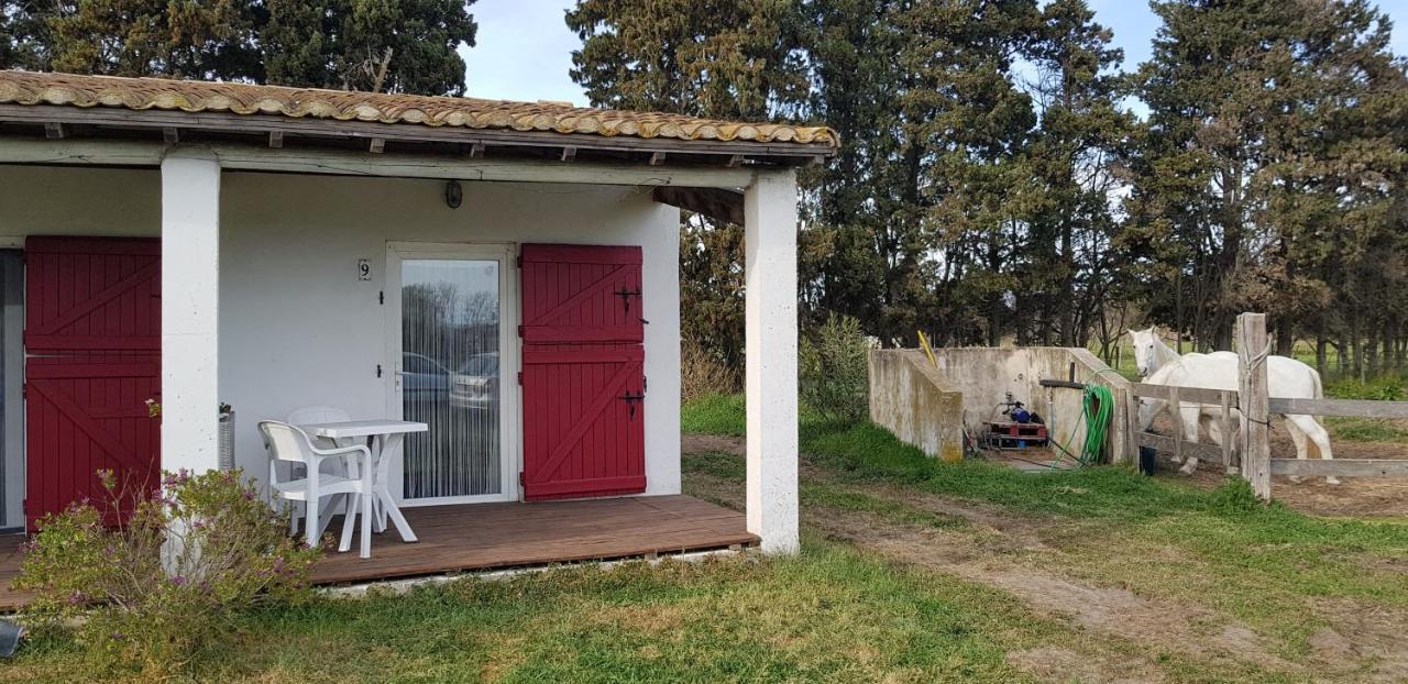 Apartmán Mas Des Cypres Saintes-Maries-de-la-Mer Exteriér fotografie